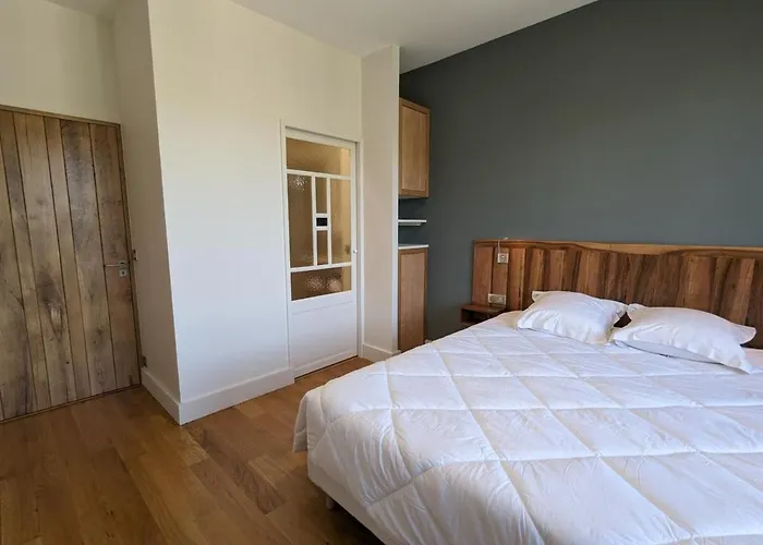 Apartment Maison Lumineuse Avec Cuisine Equipee, 3 Avec Sde & Wc Privatifs, Garage Et Wifi - - Fr-1-653-246 Jarnac