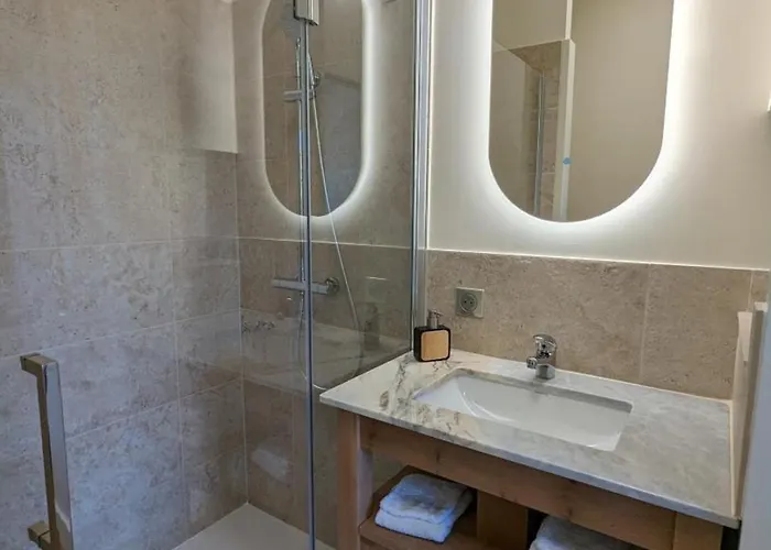 Apartment Maison Lumineuse Avec Cuisine Equipee, 3 Avec Sde & Wc Privatifs, Garage Et Wifi - - Fr-1-653-246 Jarnac